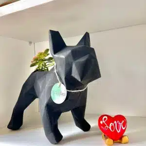 Alternative view of Maceta Pet Friendly Frenchie + Suculenta 28cm