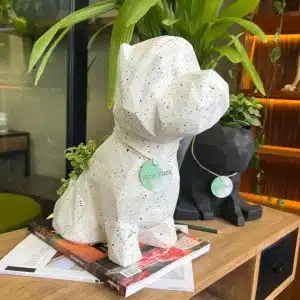 Suculenta + Maceta Pet Friendly Westie | 34cm