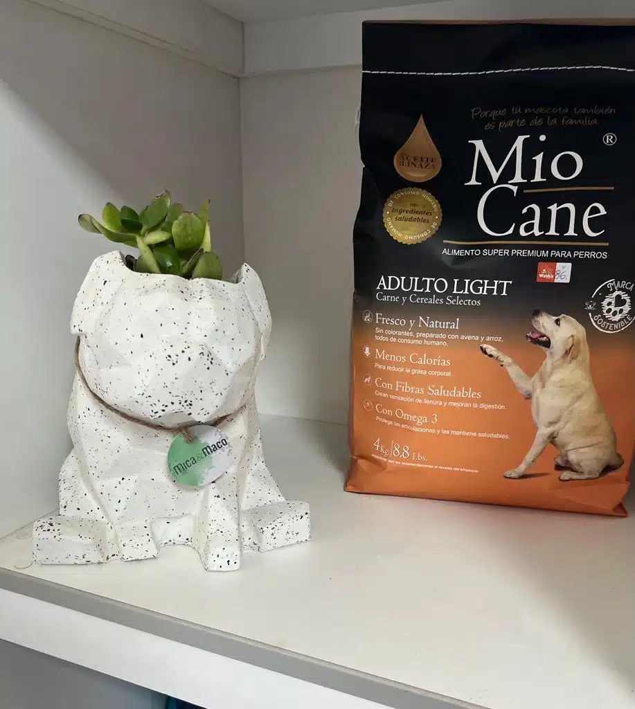 Maceta Pet Friendly Pug + Suculenta 24cm - Imagen 3