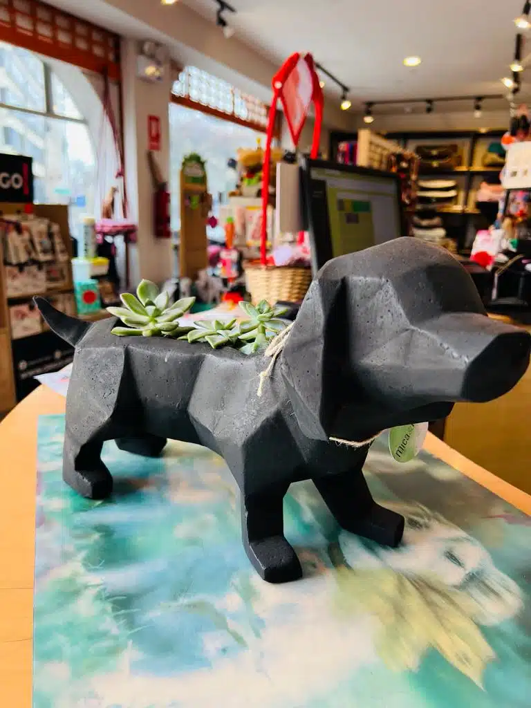 Suculenta + Maceta Pet Friendly Salchicha | 24cm - Imagen 2