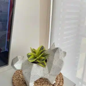 Alternative view of Maceta Pet Friendly Pomeranian + Suculenta | 25 cm