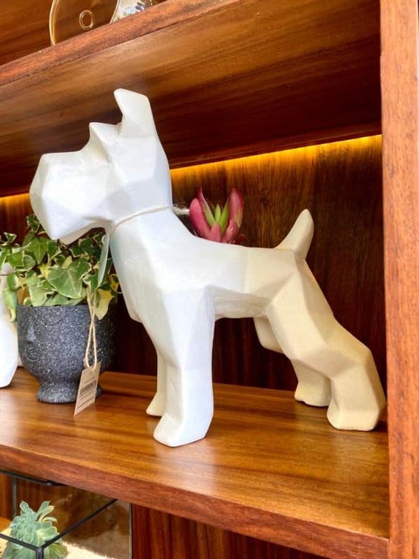 Suculenta + Maceta Pet Friendly Schnauzer | 33cm - Imagen 3