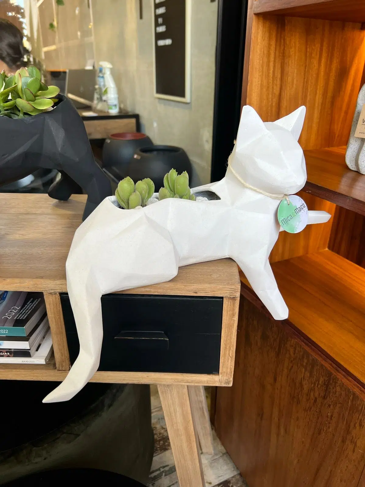 Maceta Pet Friendly Minino + Suculenta | 32cm - Imagen 5