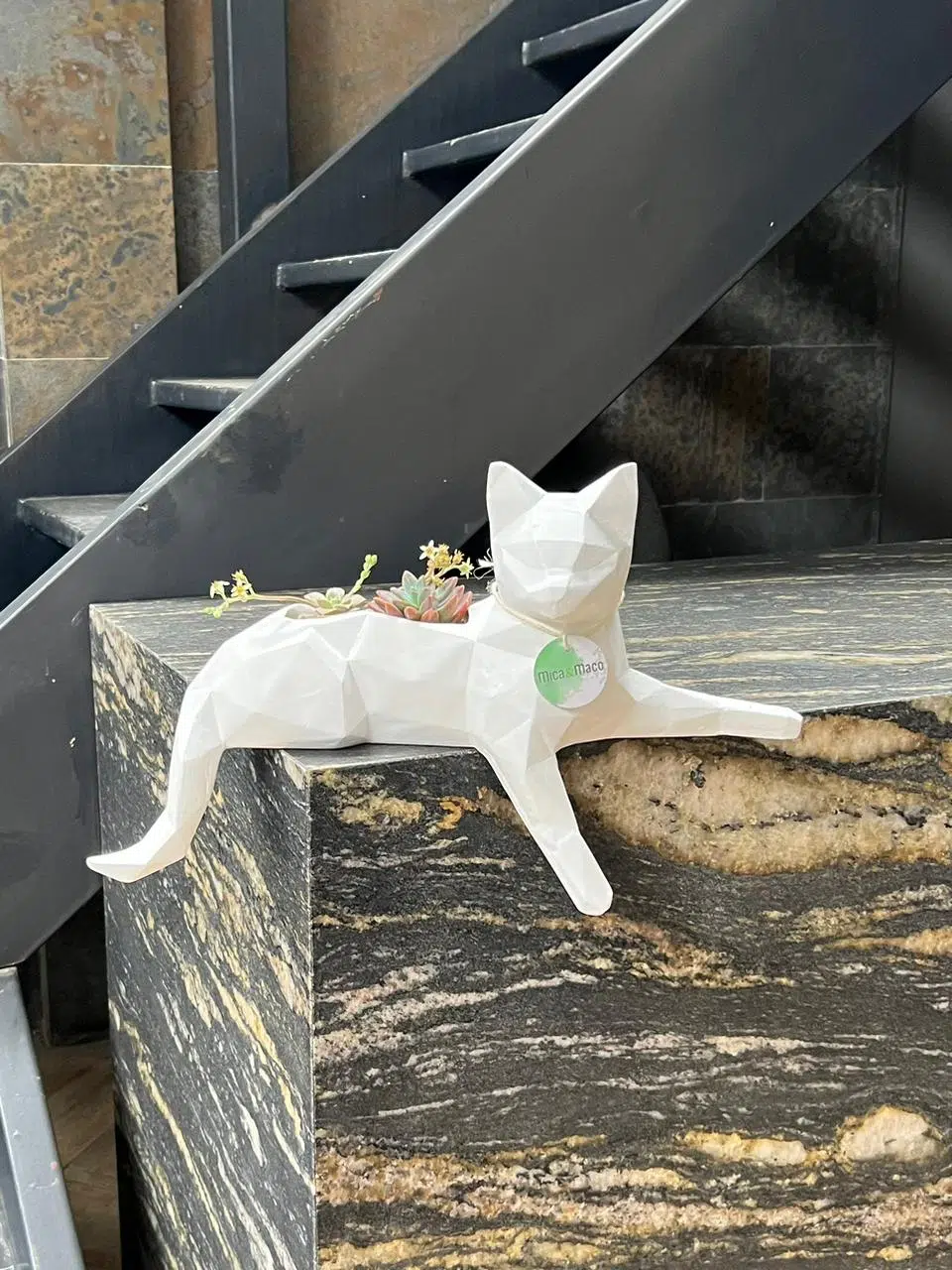 Maceta Pet Friendly Minino + Suculenta | 32cm - Imagen 7