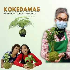 Workshop KOKEDAMAS