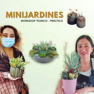 Workshop MINIJARDINES