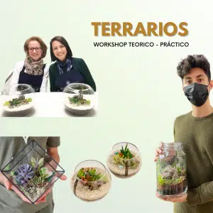 Workshop TERRARIOS