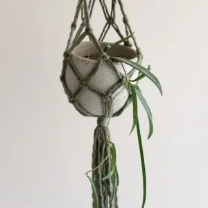 Portamacetas Waylla