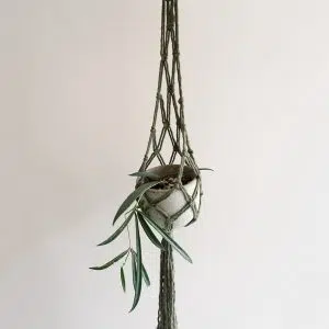 Alternative view of Portamacetas Waylla
