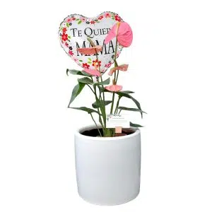 ANTURIO ROSADO + GLOBO | 35cm