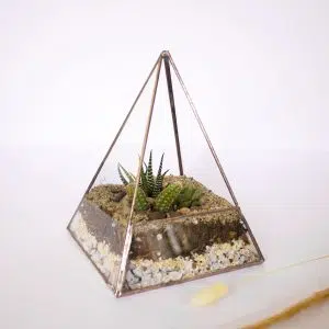 Alternative view of Domo Terrario Giza | 16cm