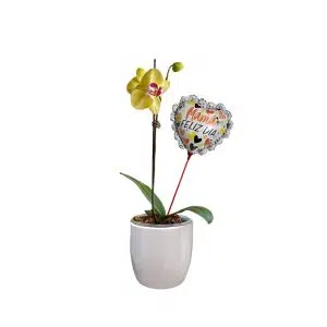 Orquídea 3 | 30cm