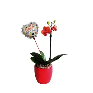 Orquídea 5 | 30cm