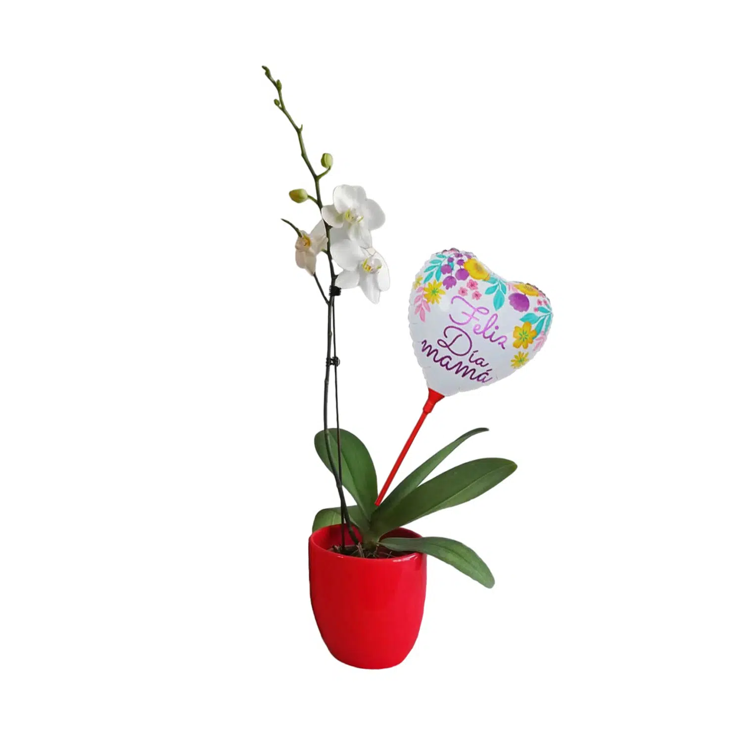 Orquídea 6 | 30cm