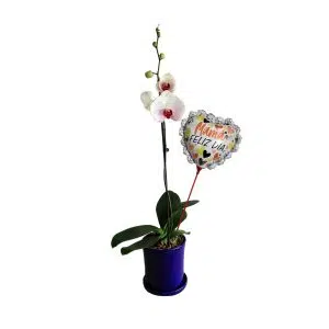 Orquídea 7 | 30cm