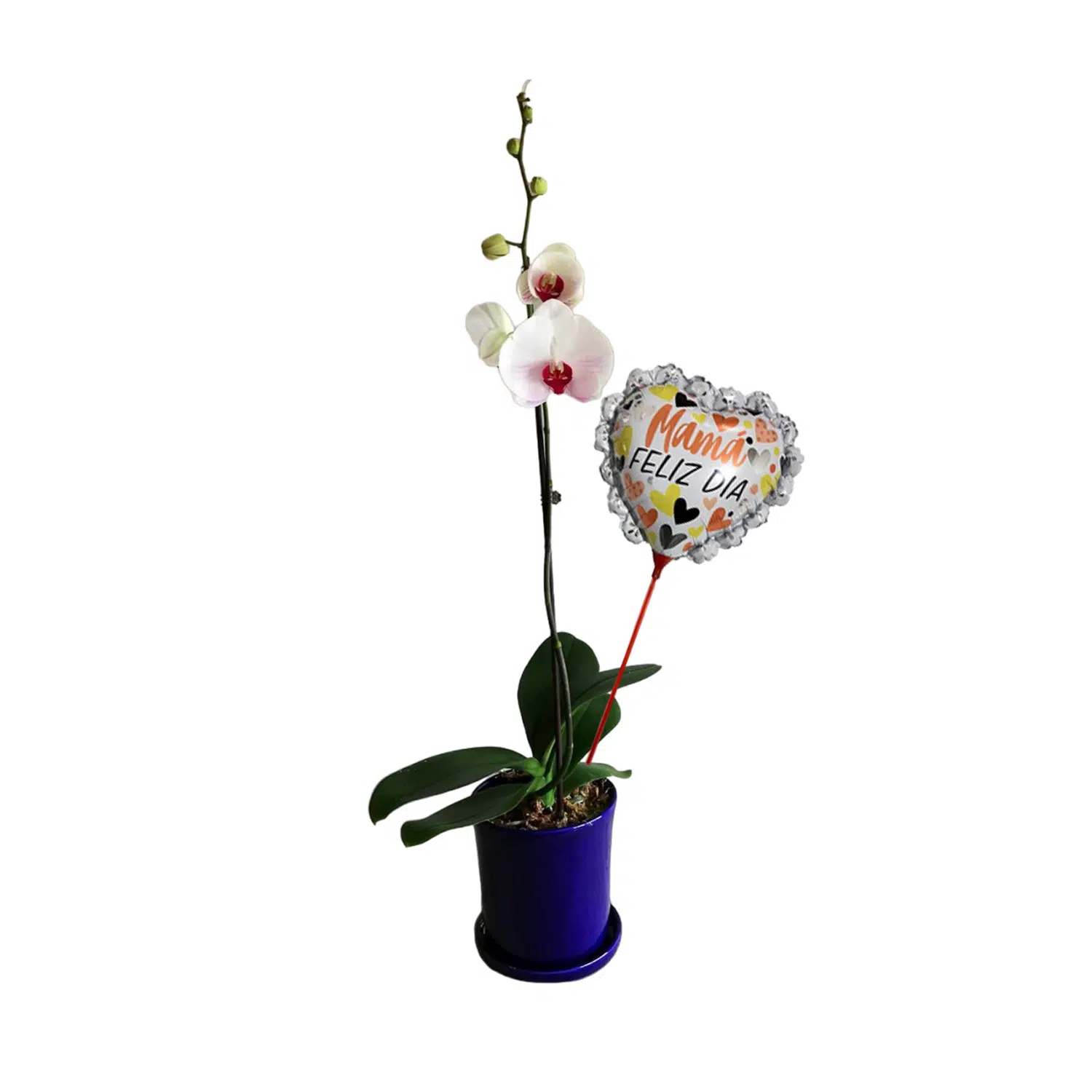 Orquídea 7 | 30cm
