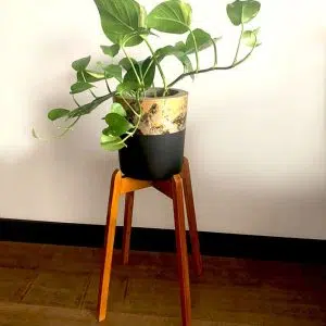 Alternative view of JUEGO VERSALLES (Planta Pothus + Parante + Maceta) | 80cm