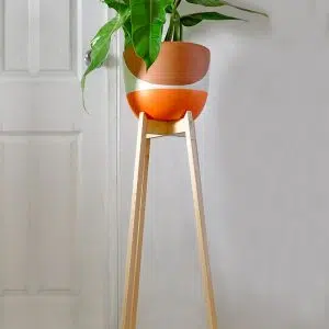 JUEGO MARSELLA (Planta Filodendro + maceta de arcilla +parante) | 1.10 mts