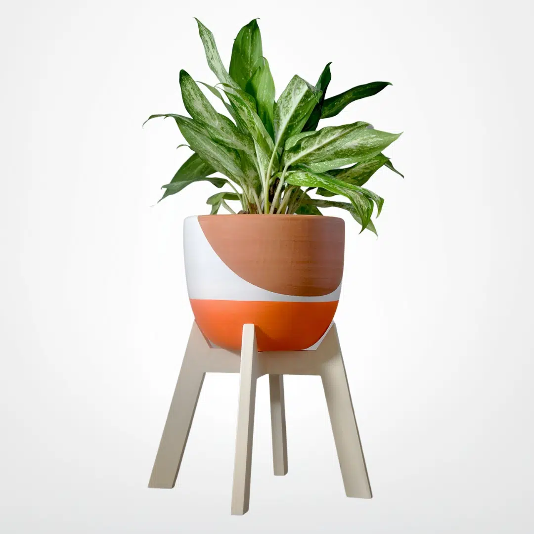 JUEGO MONET MATRE (Planta Aglaonema + Parante + Maceta) | 70 cm