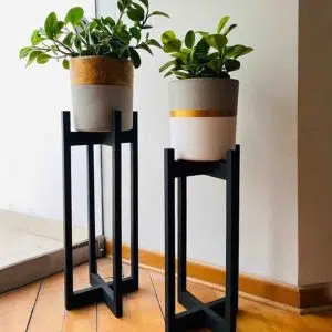 Alternative view of JUEGO NOTRE DAME (Planta Peperonias + Parante + Maceta) | 80cm