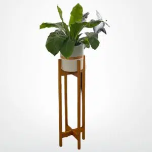 JUEGO TRIUNFO I (Planta helecho aleman + Parante + Maceta) | 1.10mts