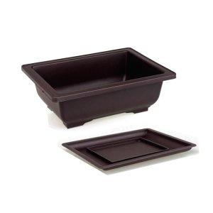 Maceta Bonsai Plástica BN-23 incluye Plato
