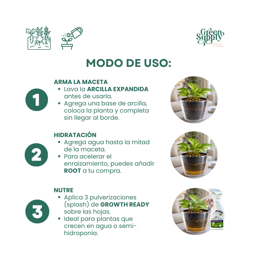 Pack semi-hidropónico - Imagen 3
