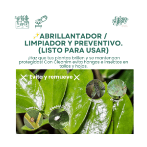 Alternative view of Cleanim ready (Preventivo De Plagas)