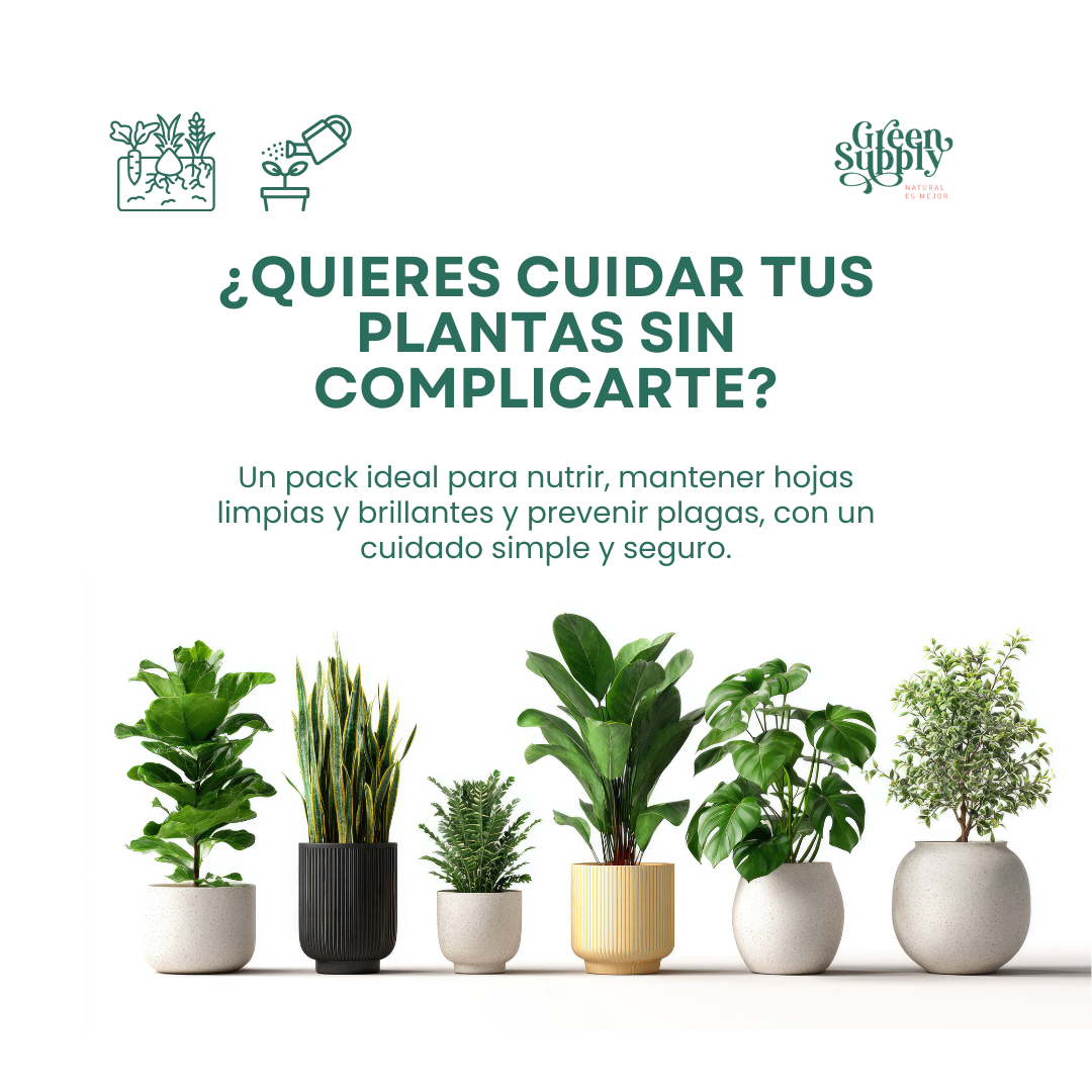 Pack Cuidado Básico (Para Pocas Plantas) - Imagen 2