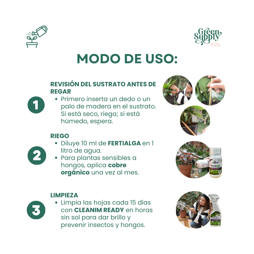 Pack Cuidado Básico (Para Pocas Plantas) - Imagen 3
