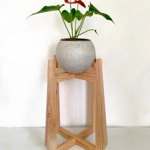 JUEGO GARNIER (Planta anturio + maceta arcilla + parante) | 90cm