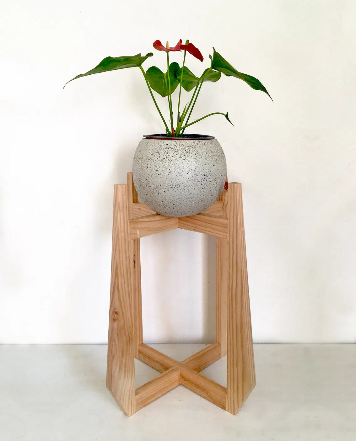 JUEGO GARNIER (Planta anturio + maceta arcilla + parante) | 90cm