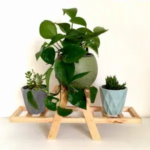 MODELO BATEUX (Parante escalera) | 20 cm