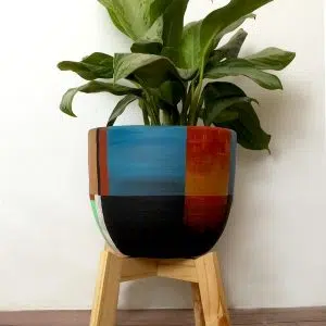 JUEGO MARSENA (Planta aglonema + maceta arcilla+ parante) | 70cm