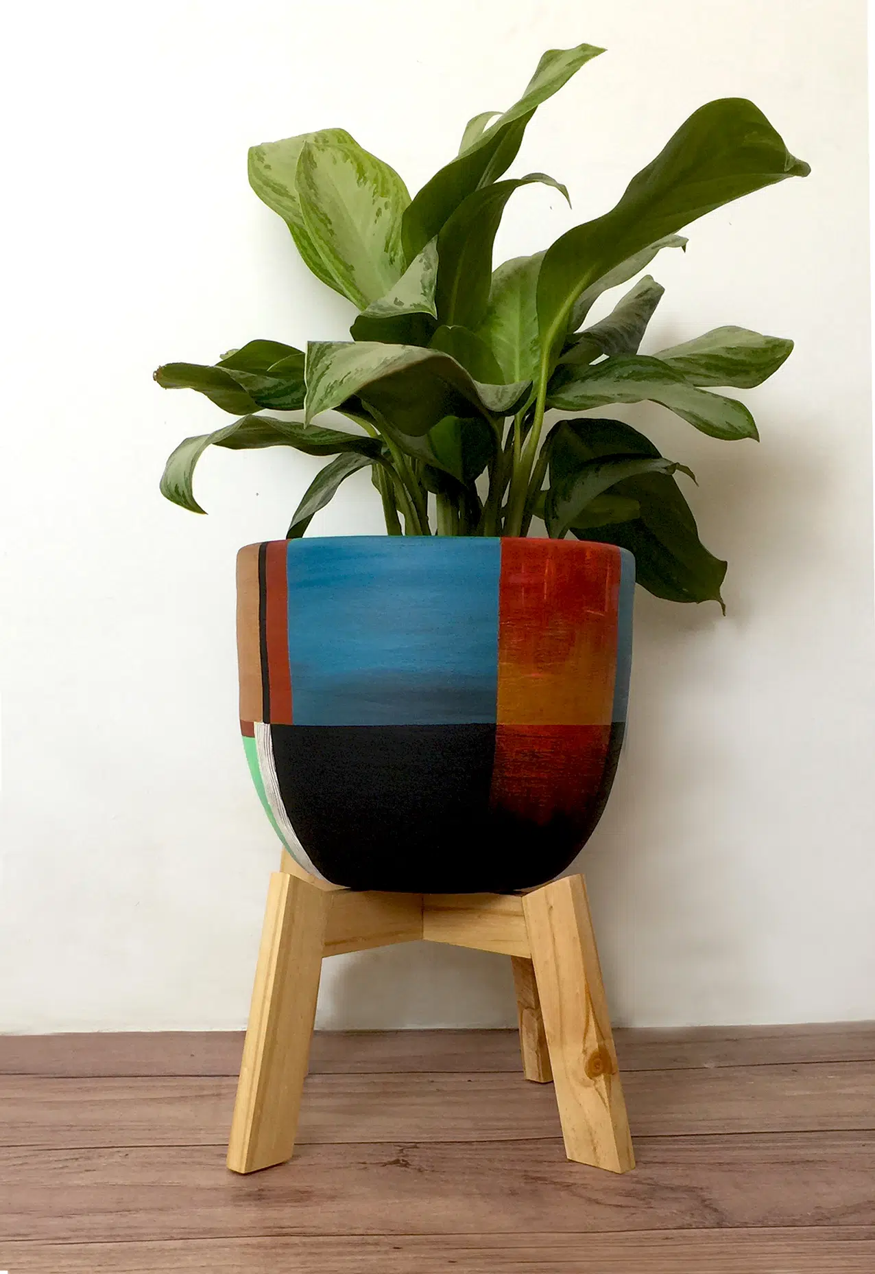 JUEGO MARSENA (Planta aglonema + maceta arcilla+ parante) | 70cm