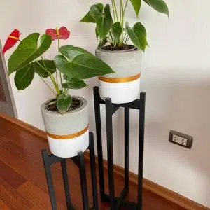 JUEGO ELISEOS (Planta anturio + maceta concreto + parante) | 110 cm