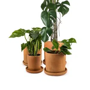 Alternative view of Macetas Cilíndrica Terracota