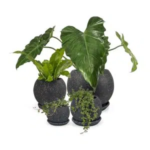 Alternative view of Macetas Cerámica Esfera Granito Negro