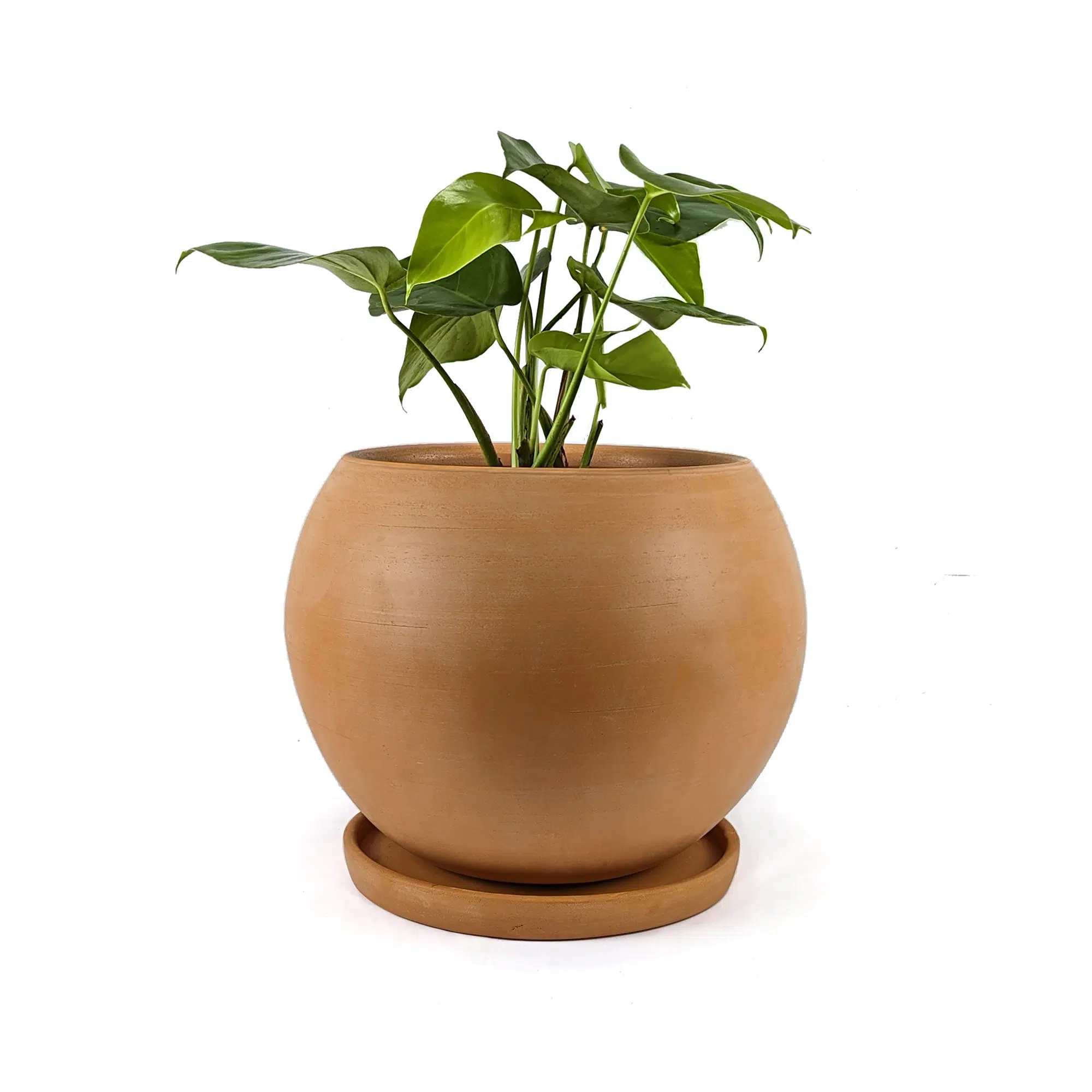 Macetas Esfera Terracota - Imagen 4