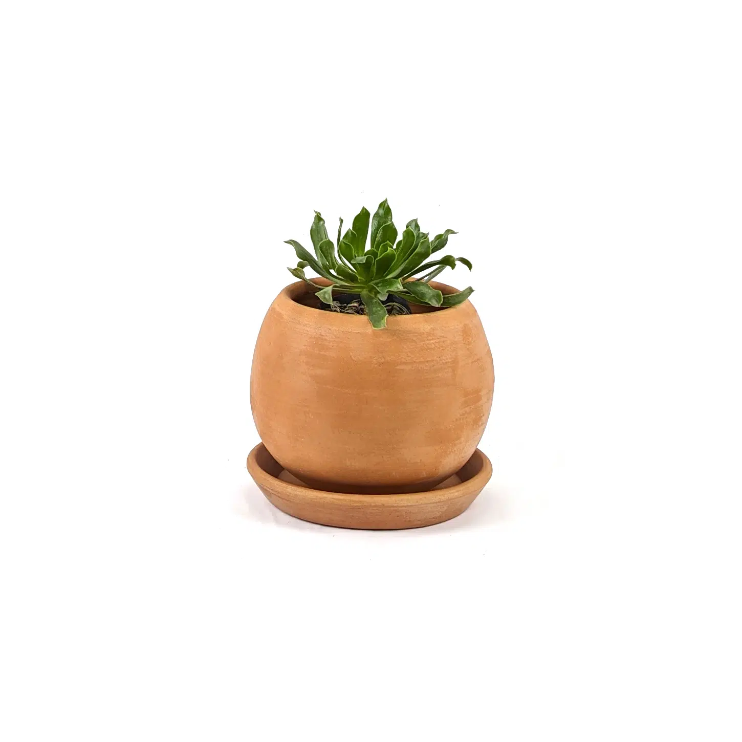 Macetas Esfera Terracota - Imagen 7
