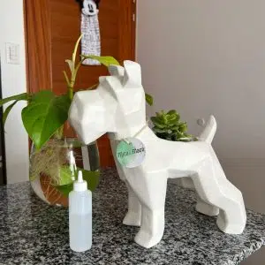 Alternative view of Suculenta + Maceta Pet Friendly Schnauzer | 33cm
