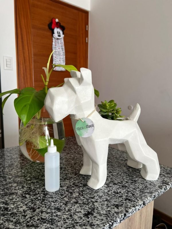 Suculenta + Maceta Pet Friendly Schnauzer | 33cm - Imagen 2