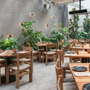 Paisajismo o Asesoría en decoración de espacios con plantas (NEGOCIOS)
