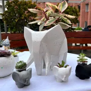 Alternative view of Maceta Pet Friendly Dumbo + planta | 27cm