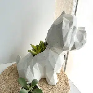 Alternative view of Suculenta + Maceta Pet Friendly Westie | 34cm