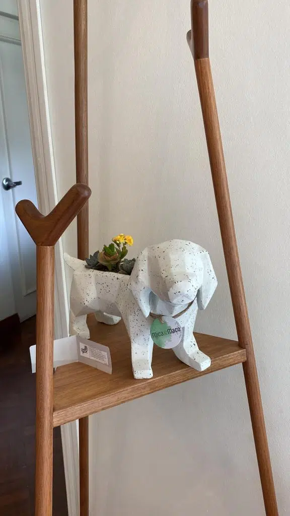 Suculenta + Maceta Pet Friendly Salchicha | 24cm - Imagen 5