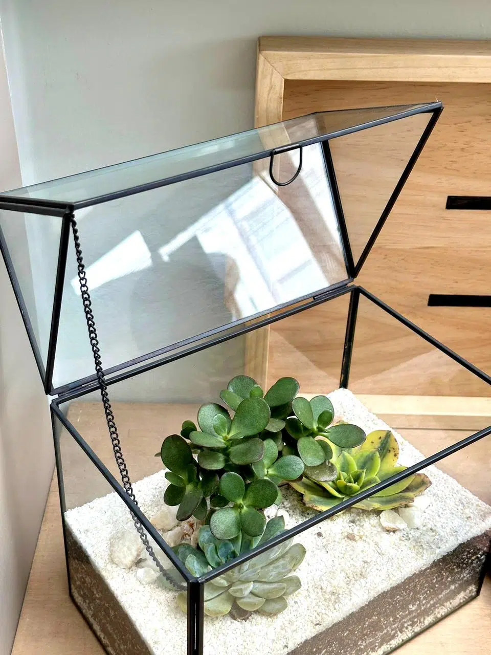 Terrario Tropical Greenhouse | 26 cm - Imagen 6