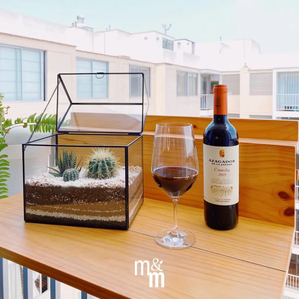 Terrario Tropical Greenhouse | 26 cm - Imagen 4