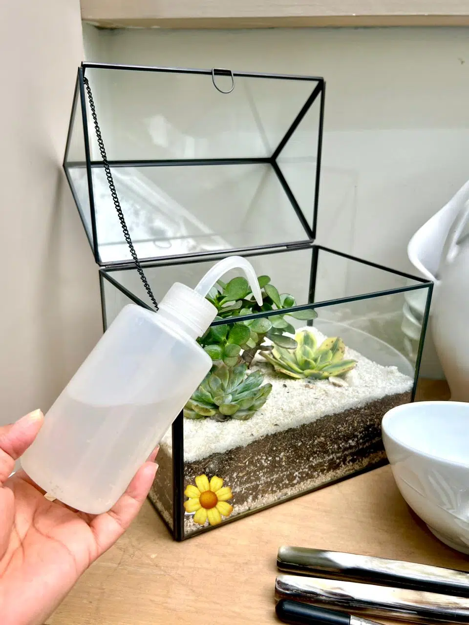 Terrario Tropical Greenhouse | 26 cm - Imagen 3