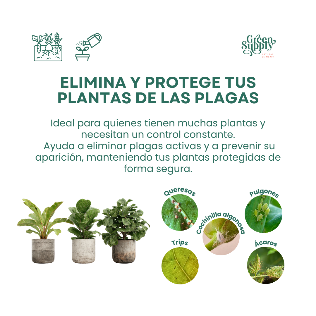 Pack Elimina Plagas Varias Plantas - Imagen 2